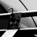 Roof Rack