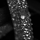 Dewdrops